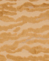 Sambura Brown Sugar by   