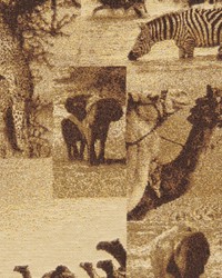 Forever Africa Desert by   