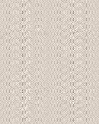 Legado Foam by  S Harris 