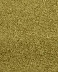 Persuasion Seagrass by  Robert Allen 