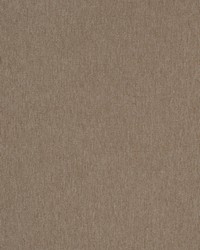 Trend 03350 Fossil Fabric