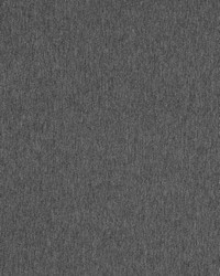 Trend 03350 Charcoal Fabric