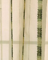 Jolarian Kiwi by  Robert Allen 