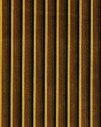 Gulzar Nutmeg by  Robert Allen 