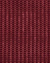 Faina Boysenberry by  Robert Allen 