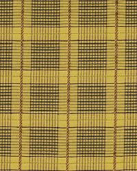 Plaidita Bonsai by  Robert Allen 