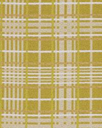 Tartan Web Pear by  Robert Allen 