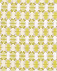 Proflex Aloe by  Robert Allen 