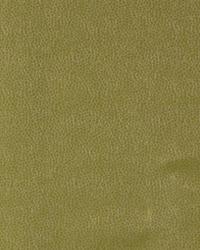 Kim Crackle Celery by  Robert Allen 