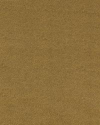 Kim Crackle Cactus by  Robert Allen 