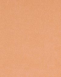 Kim Crackle Persimmon by  Robert Allen 