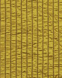 Fellowship Cactus by  Robert Allen 