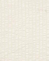 Fellowship Pearl by  Robert Allen 