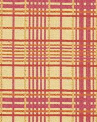 Tartan Web Raspberry by  Robert Allen 