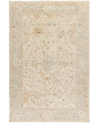 Normandy 6 x 9 Rug by   