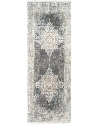 Solar 3 x 8 Rug by   