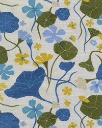 Nasturtiums Blueberry by  Trend  