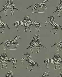 P K Lifestyles Od Dr Zebra      Silver Fabric