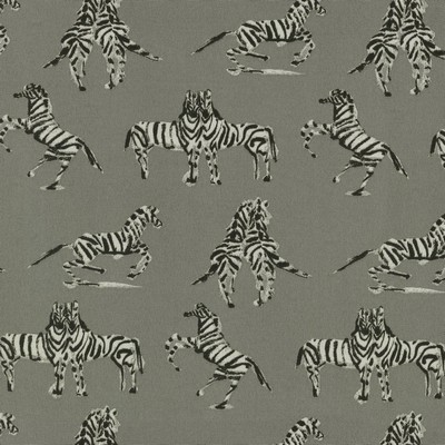 P K Lifestyles Od Dr Zebra      Silver in FALL OUTDOOR 2021 Silver Jungle Safari  Fun Print Outdoor  Fabric