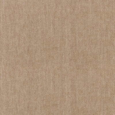 P K Lifestyles Cleary Cumin NC in Curated Travels Brown Solid Brown   Fabric