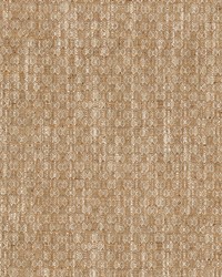 Calvia Amber by  P K Lifestyles 