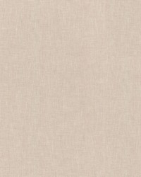 Companion Biscuit by  P K Lifestyles 