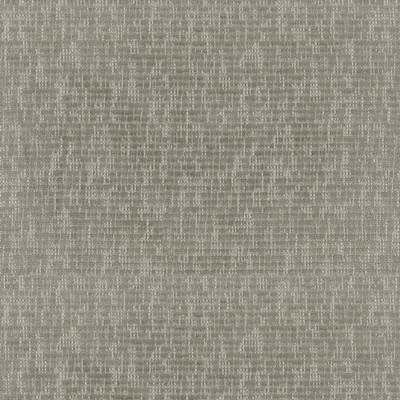 P K Lifestyles Dorset Fossil in Performance Soild Solid Color Chenille   Fabric