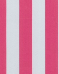 P K Lifestyles OD Canopy Stripe Hot Pink Fabric