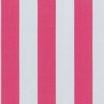 P K Lifestyles OD Canopy Stripe Hot Pink in Outdoor Dec. 2018 Pink  Blend Stripes and Plaids Outdoor  Striped   Fabric
