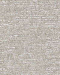 Shifting Tides Fossil by   