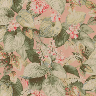 P K Lifestyles Hostas Meadow Tearose in Design by Nature I Pink Tropical  Large Print Floral   Fabric