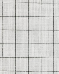 Concord Pane Domino by   