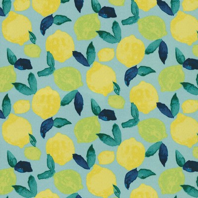 P K Lifestyles OD Citrus Squeeze Turquoise in Outdoor Fall 2019 Blue  Blend Fruit  Fruit  Fun Print Outdoor Fun Print Outdoor  Fabric