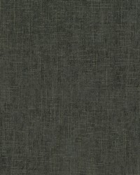 Remy Charcoal by  Robert Allen 