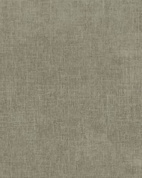 Remy Taupe by  Robert Allen 