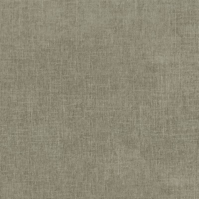 P K Lifestyles Remy Taupe in Performance Plus III Brown Multipurpose Polyester/10%  Blend Solid Color Chenille   Fabric