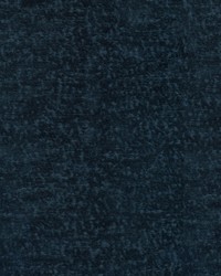 Teddy Indigo by  Robert Allen 