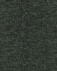 Teddy Char by  Robert Allen 