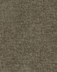 Teddy Woodland by  Robert Allen 