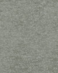 Teddy Fog by  Robert Allen 