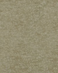 Teddy Linen by  Robert Allen 