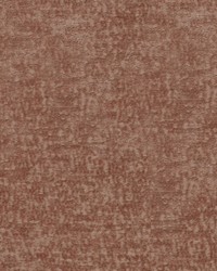 Teddy Blush by  Robert Allen 