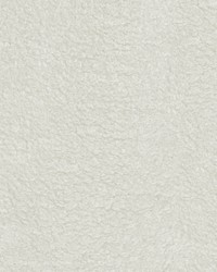 Furever           Swan by  P K Lifestyles 