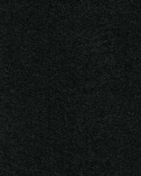 Furever Panther by  P K Lifestyles 