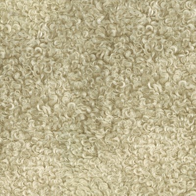 P K Lifestyles Curly Whirly     Foam in CULTURAL EXCHANGE IV Multipurpose Polyester Faux Fur  Fabric