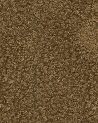 Curly Whirly     Camel by   