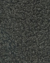 Curly Whirly     Sable by   