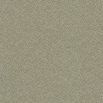 P K Lifestyles Cocoon             Shale in PERFORMANCE PLUS IV Patterned Chenille   Fabric