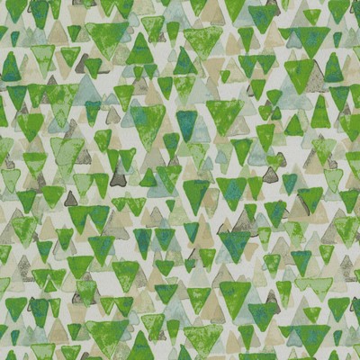 P K Lifestyles Od Reef Point    Grass in FALL OUTDOOR 2021 Green Geometric  Fun Print Outdoor  Fabric