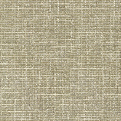 P K Lifestyles Perf Cocoluxe          How Rattan in PERFORMANCE PLUS V Beige Patterned Chenille   Fabric